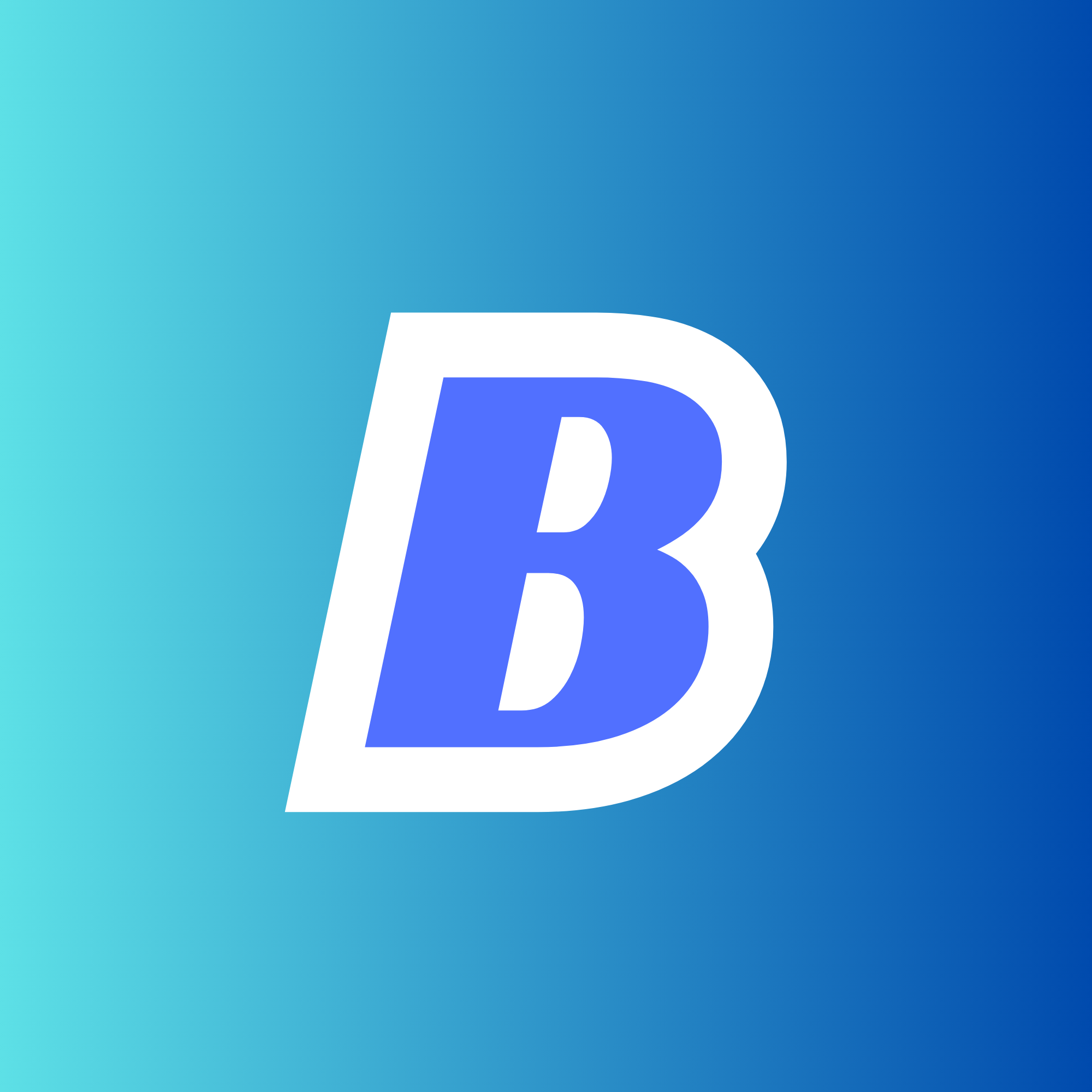 Bloom & Boom Logo