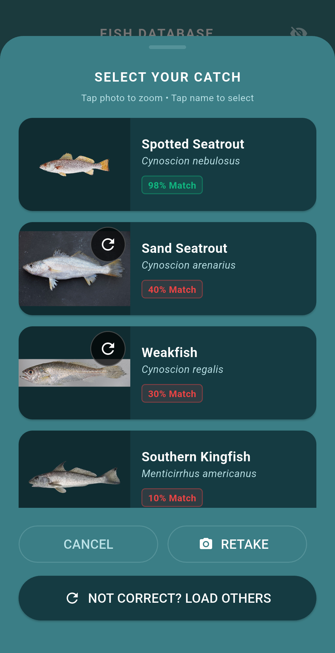 AI Scan